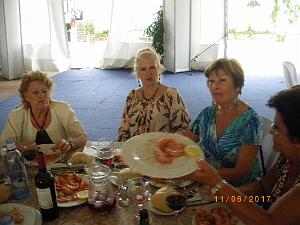 3 dalias 2 (18)